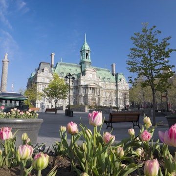 Town square and Place Jacques Cartier in Old Montreal.
86464379
Built Structure, Square, Quebec, Flower, No People, Architecture, Vieux-Montral, Place Jacques Cartier, Tulip, Day, Color Image, Horizontal, Bench, Landscaped, Photography, Montreal, Town, Canada, North America, Outdoors