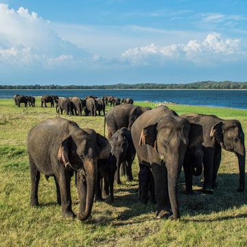 18 top things to do in Sri Lanka