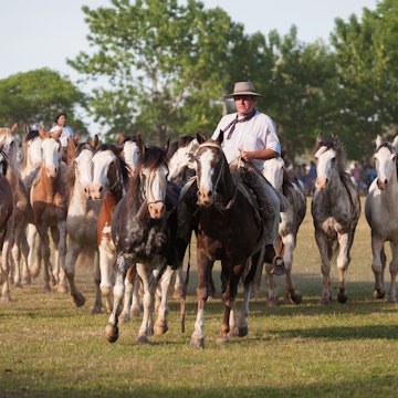 What to know before visiting Argentina