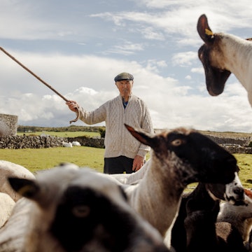 Edinburgh, Editorial, Ormerod, Robert 
John Davoren sheep dog farmer runs Sheepdog Demonstrations at Caherconnell Fort in the Burren
Ireland — 1397052